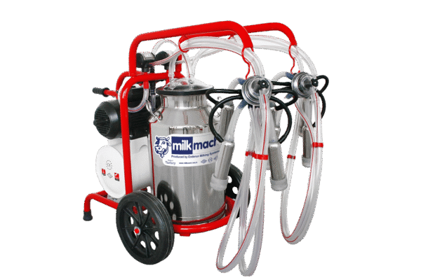 Double Cluster Single Bucket